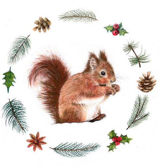 Fine art greeting card -  Red Squirrel  Christmas