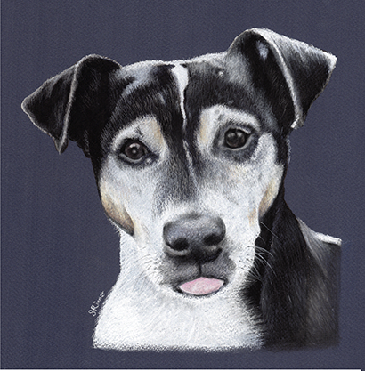 Fine art greeting card - Jack Russell