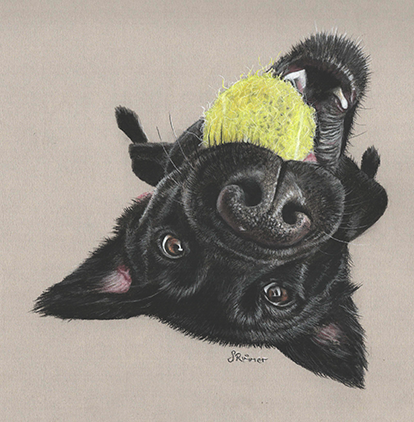 Fine art greeting card - Black Labrador