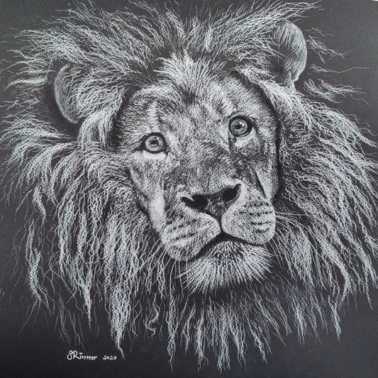 Limited edition print of original Lion drawing by Shan Rimmer